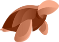 Tettocolour Brown Turtle Image Icon