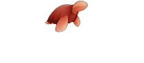 Tettocolour Logo